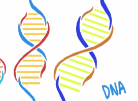 科學家開發出新型遺傳數據庫gnomAD 有望幫助攻克多種罕見疾病