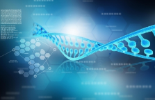 新技术可以提高DNA的成像效果