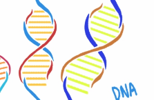 遗传学大师“疯狂尝试”：对细胞进行了超1.3万次CRISPR编辑