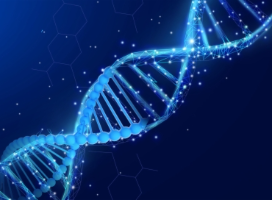 研究人员揭示肿瘤代谢物如何阻碍DNA修复