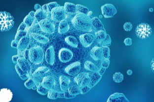 科学家找到了新冠病毒的“弱点” 这种变异是毒性减弱的关键！